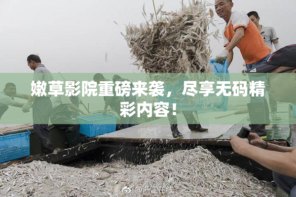 嫩草影院重磅来袭，尽享无码精彩内容！