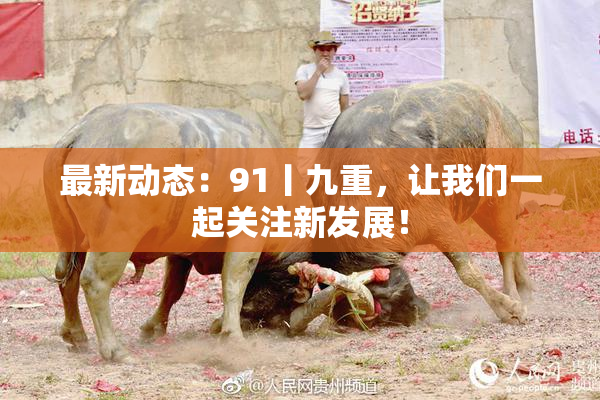最新动态：91丨九重，让我们一起关注新发展！