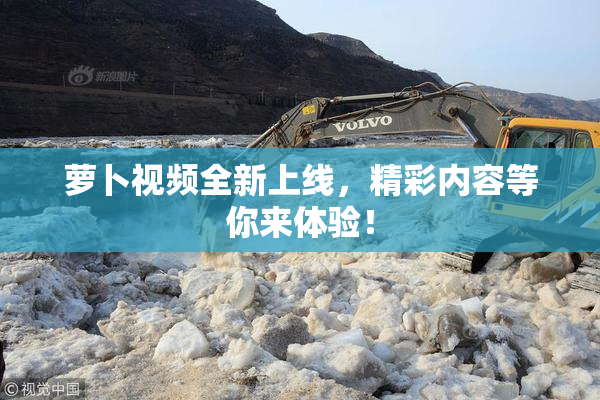 萝卜视频全新上线，精彩内容等你来体验！