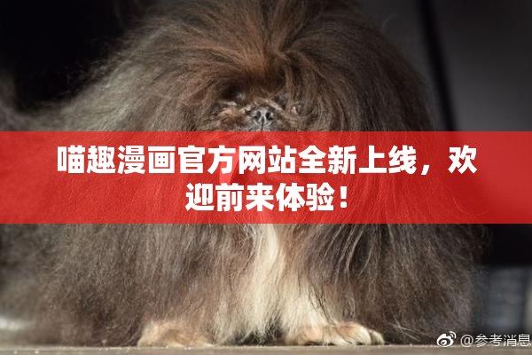 喵趣漫画官方网站全新上线，欢迎前来体验！
