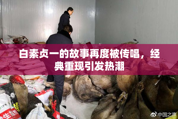 白素贞一的故事再度被传唱，经典重现引发热潮