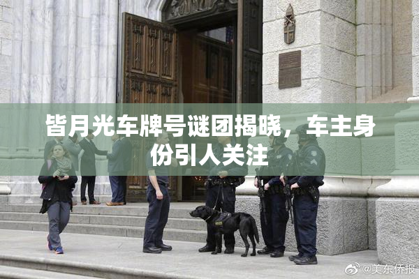 皆月光车牌号谜团揭晓，车主身份引人关注