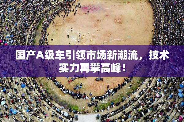 国产A级车引领市场新潮流，技术实力再攀高峰！