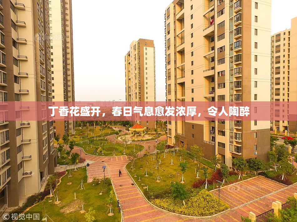 丁香花盛开，春日气息愈发浓厚，令人陶醉