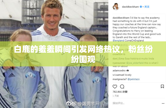 白鹿的羞羞瞬间引发网络热议，粉丝纷纷围观
