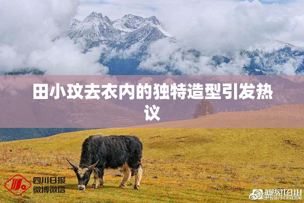 田小玟去衣内的独特造型引发热议