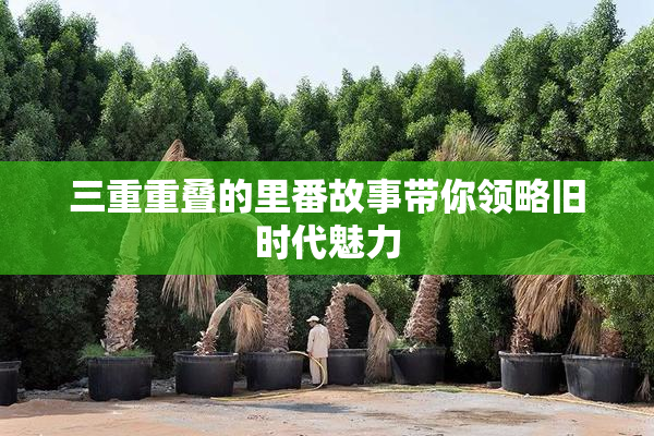 三重重叠的里番故事带你领略旧时代魅力