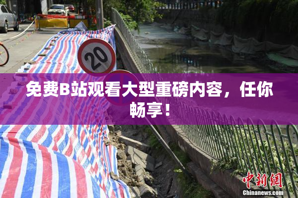 免费B站观看大型重磅内容，任你畅享！