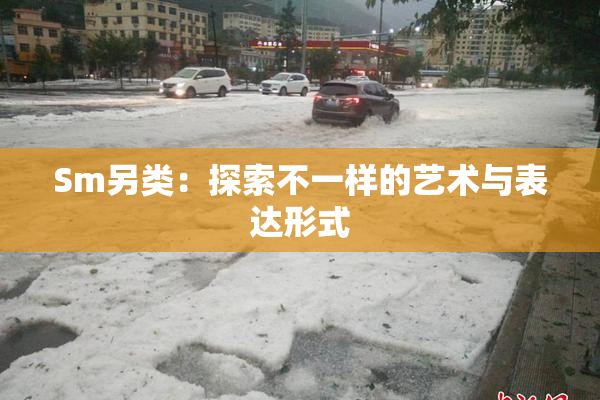 Sm另类：探索不一样的艺术与表达形式