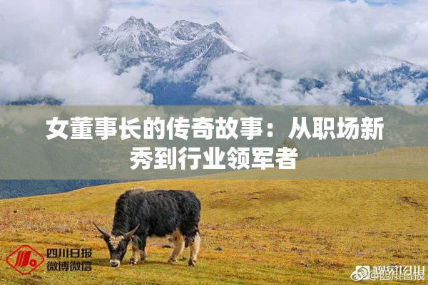 女董事长的传奇故事：从职场新秀到行业领军者