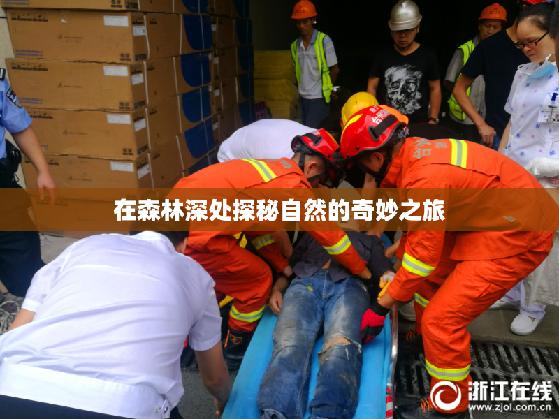 在森林深处探秘自然的奇妙之旅