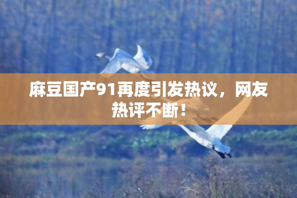 麻豆国产91再度引发热议，网友热评不断！