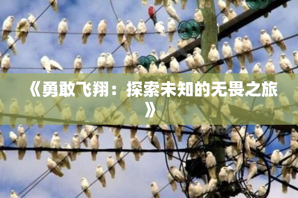 《勇敢飞翔：探索未知的无畏之旅》