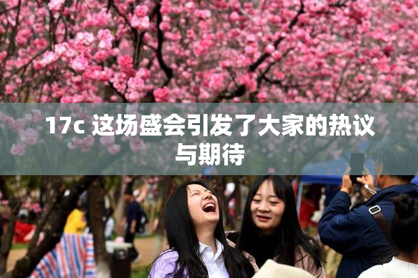 17c 这场盛会引发了大家的热议与期待