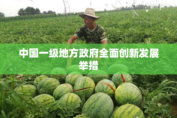 中国一级地方政府全面创新发展举措