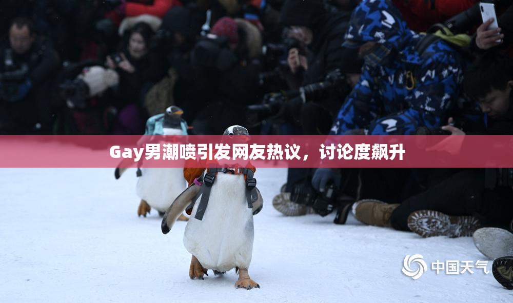 Gay男潮喷引发网友热议，讨论度飙升