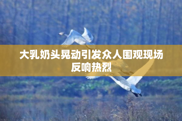 大乳奶头晃动引发众人围观现场反响热烈