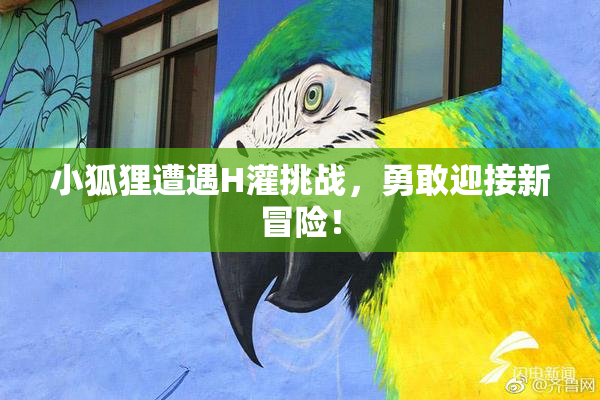 小狐狸遭遇H灌挑战，勇敢迎接新冒险！