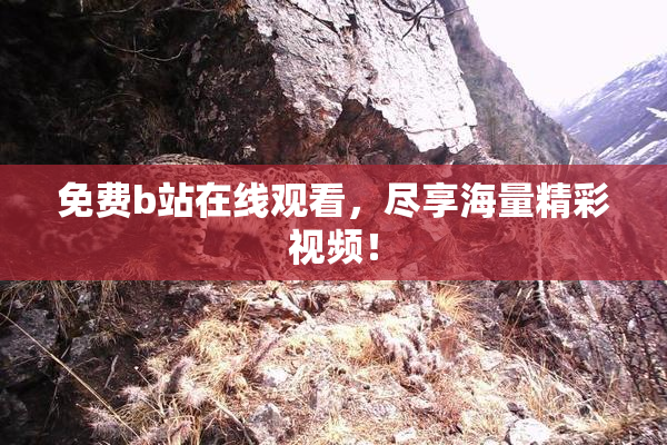 免费b站在线观看，尽享海量精彩视频！