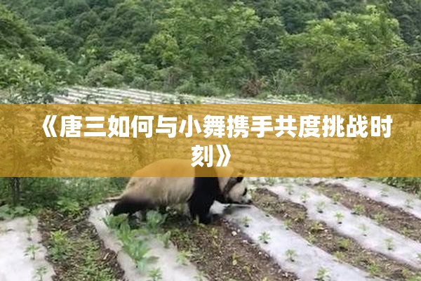 《唐三如何与小舞携手共度挑战时刻》