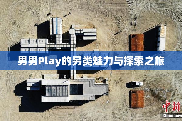 男男Play的另类魅力与探索之旅