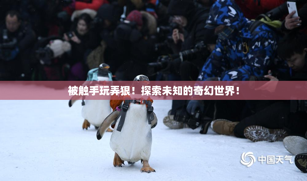 被触手玩弄狠！探索未知的奇幻世界！