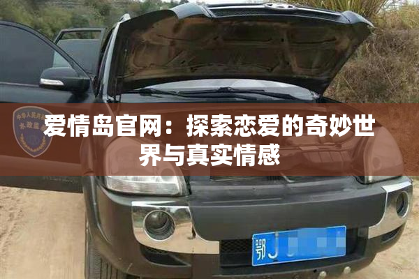 爱情岛官网：探索恋爱的奇妙世界与真实情感