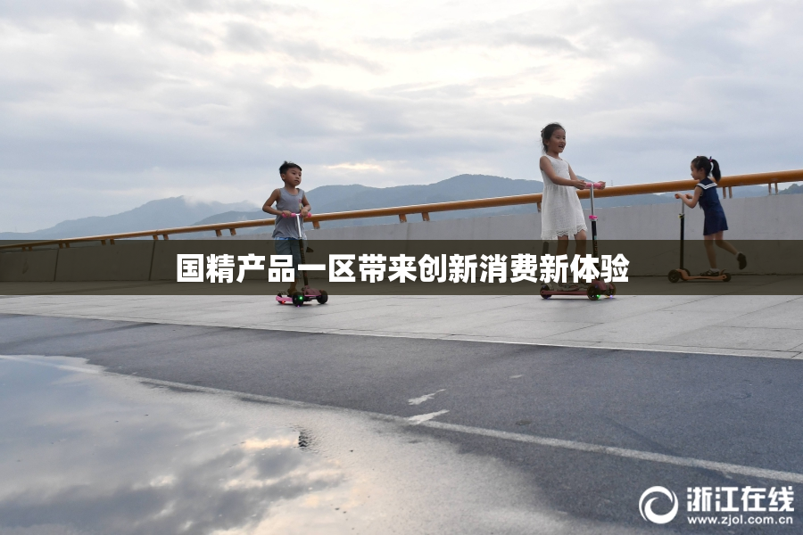 国精产品一区带来创新消费新体验
