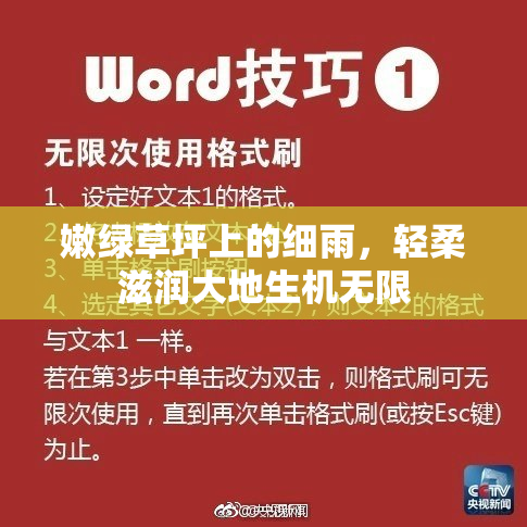 嫩绿草坪上的细雨，轻柔滋润大地生机无限