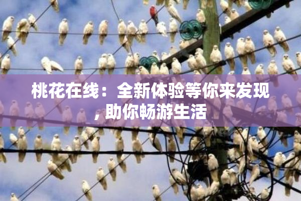 桃花在线：全新体验等你来发现, 助你畅游生活