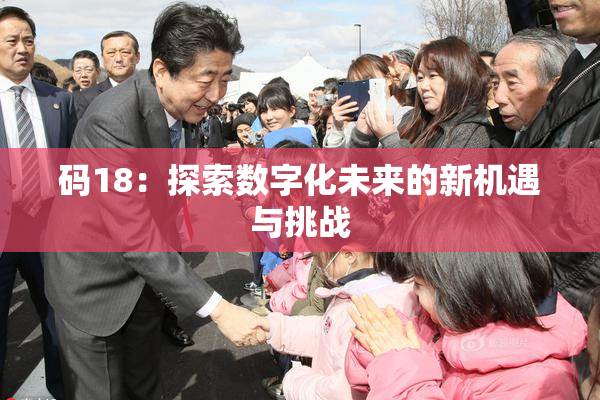 码18：探索数字化未来的新机遇与挑战