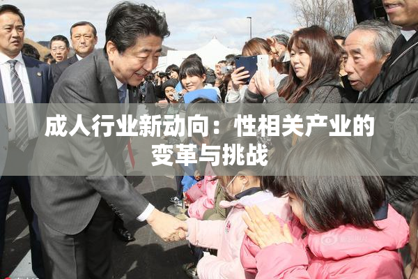 成人行业新动向：性相关产业的变革与挑战