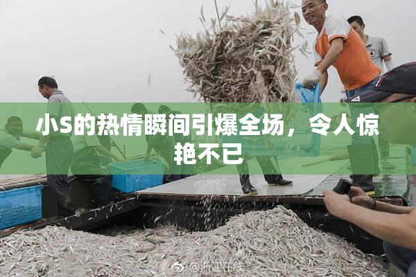 小S的热情瞬间引爆全场，令人惊艳不已