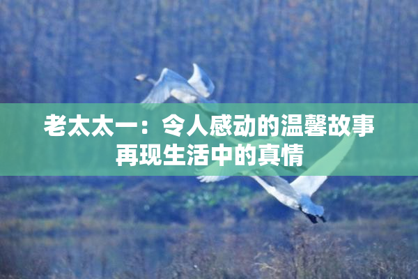 老太太一：令人感动的温馨故事再现生活中的真情