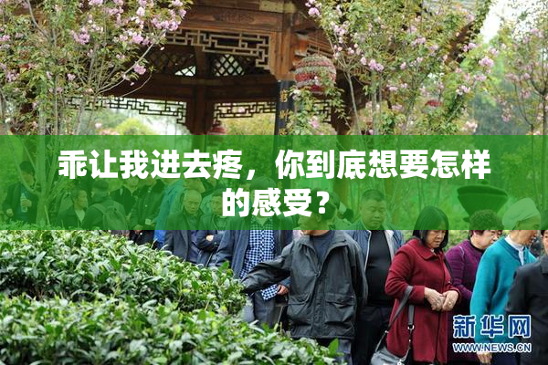 乖让我进去疼，你到底想要怎样的感受？