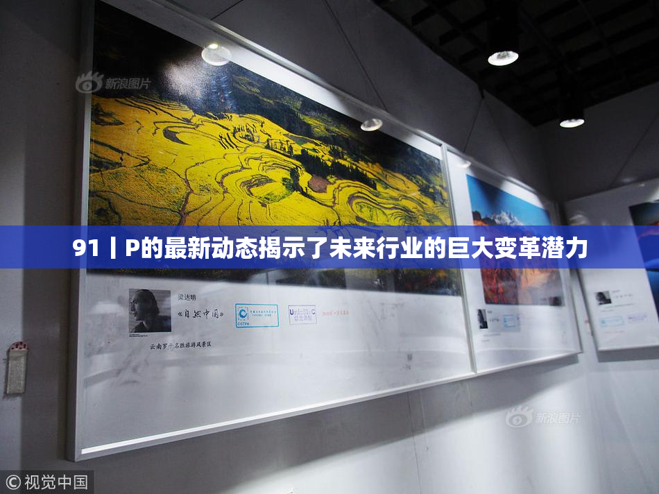91丨P的最新动态揭示了未来行业的巨大变革潜力
