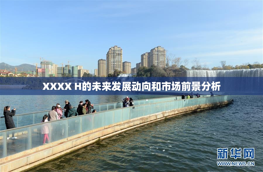 XXXX H的未来发展动向和市场前景分析