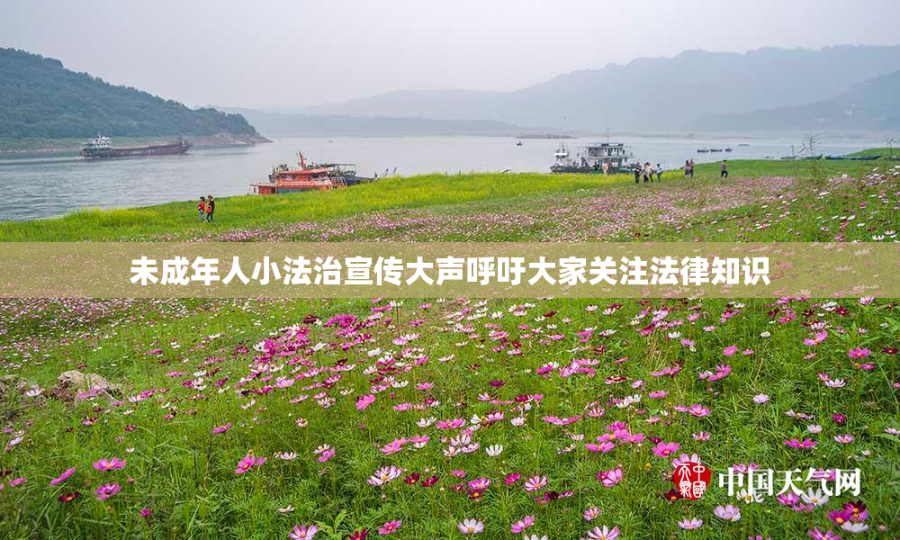 未成年人小法治宣传大声呼吁大家关注法律知识