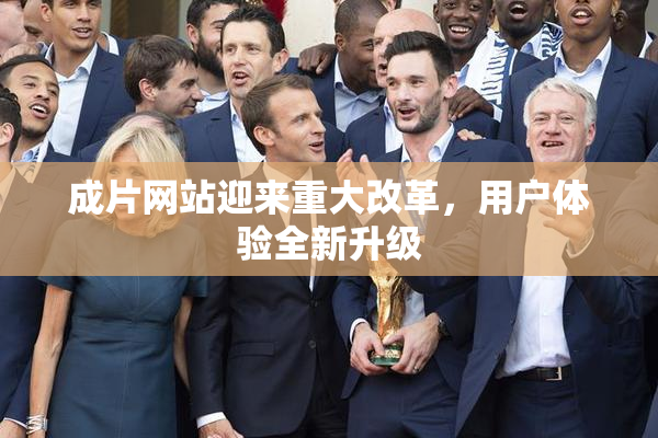 成片网站迎来重大改革，用户体验全新升级