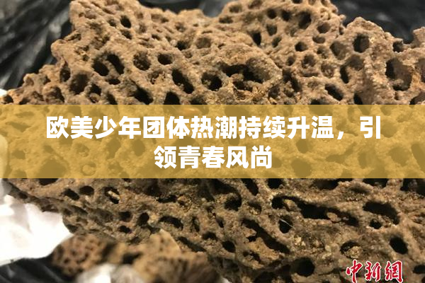 欧美少年团体热潮持续升温，引领青春风尚