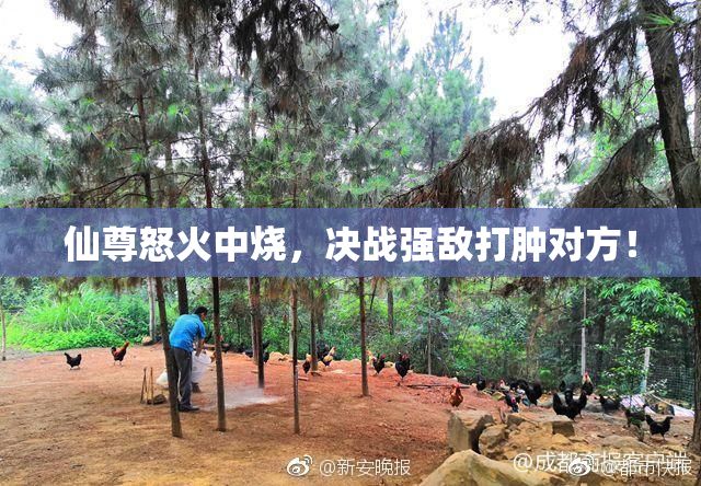 仙尊怒火中烧，决战强敌打肿对方！