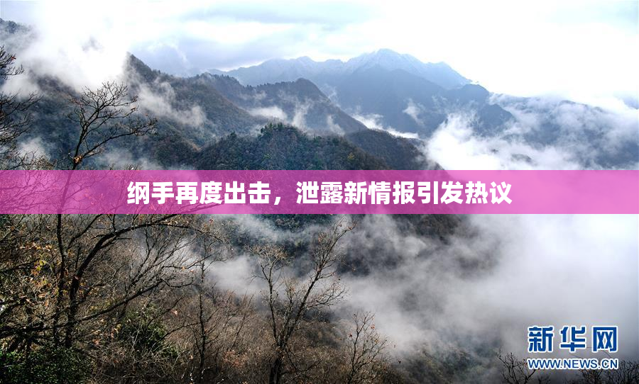 纲手再度出击，泄露新情报引发热议