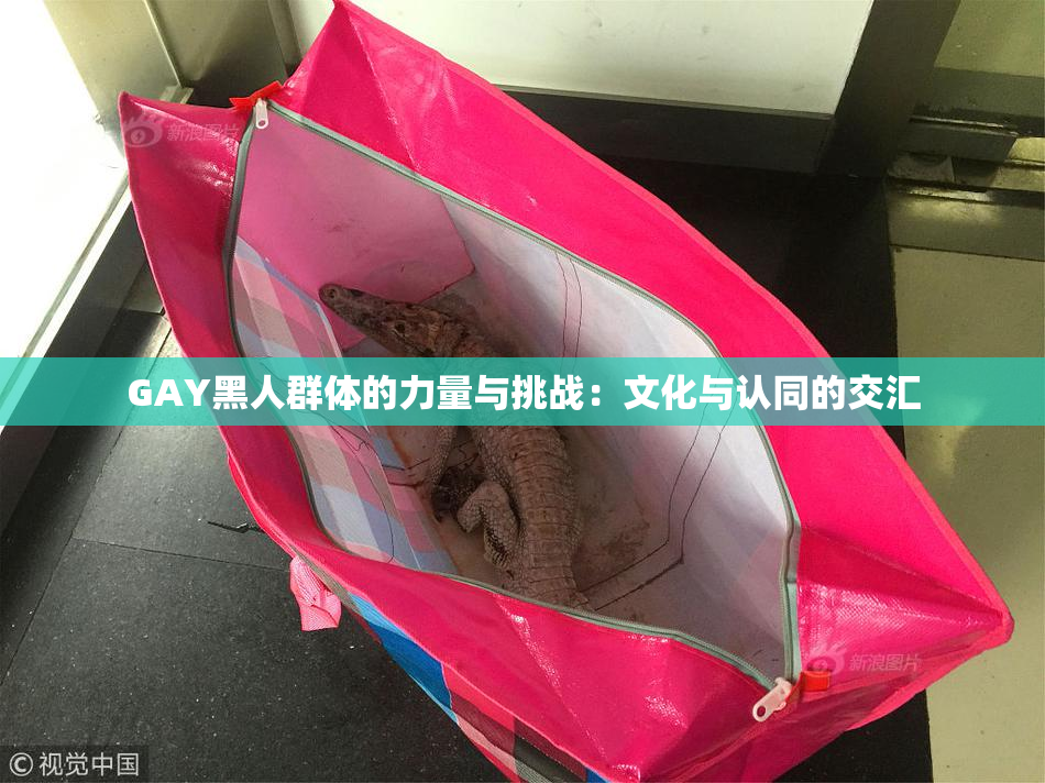 GAY黑人群体的力量与挑战：文化与认同的交汇