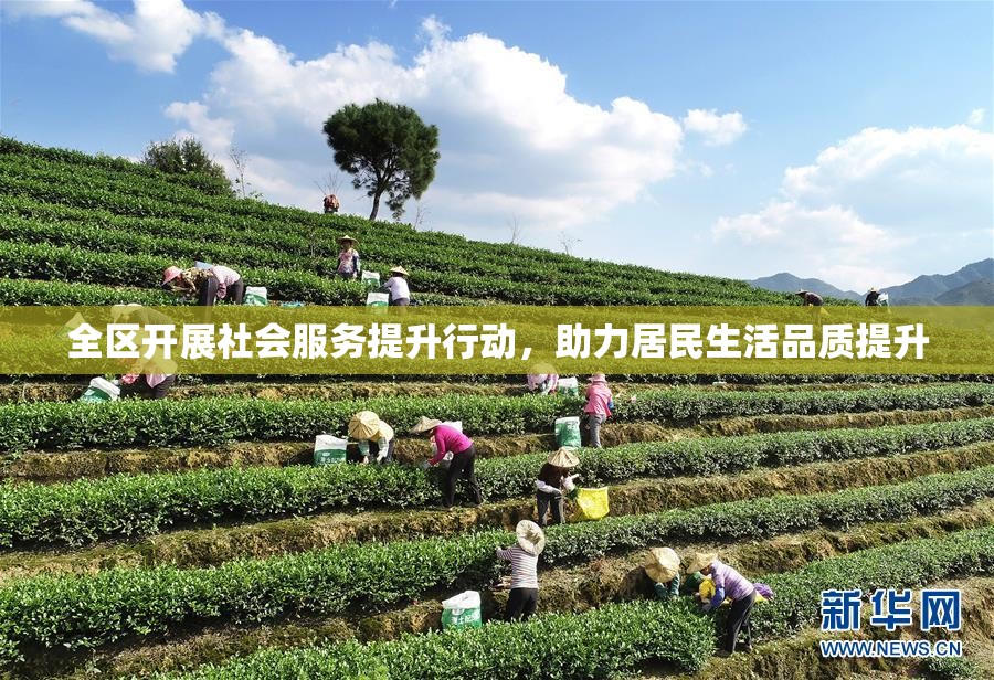 全区开展社会服务提升行动，助力居民生活品质提升