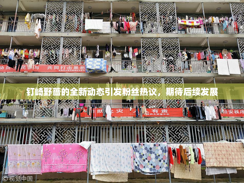 钉崎野蔷的全新动态引发粉丝热议，期待后续发展