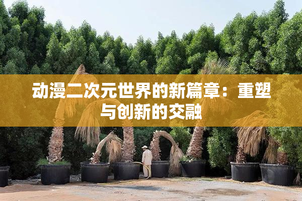 动漫二次元世界的新篇章：重塑与创新的交融