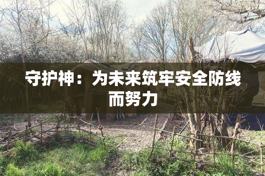 守护神：为未来筑牢安全防线而努力