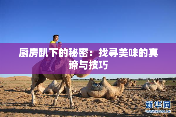 厨房趴下的秘密：找寻美味的真谛与技巧
