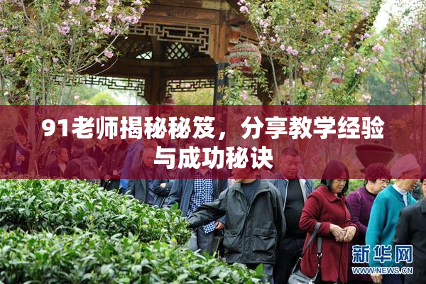 91老师揭秘秘笈，分享教学经验与成功秘诀