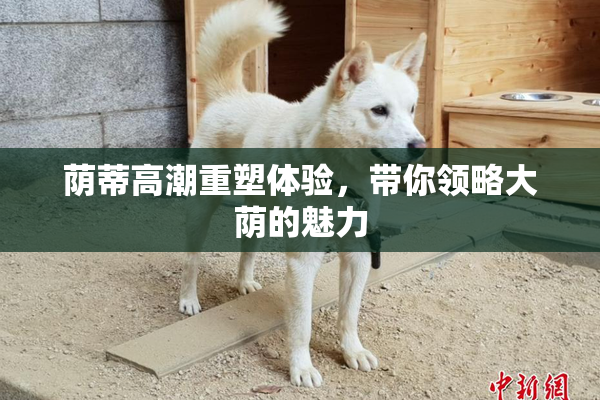 荫蒂高潮重塑体验，带你领略大荫的魅力